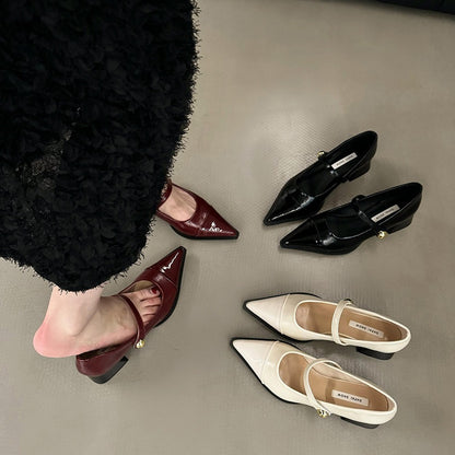 Chunky Heel Retro Style Mary Jane Shoes High Heels Women's Shoes Black Shoes Autumn Winter Korean Version High-End Single Shoes Small Leather Shoes
